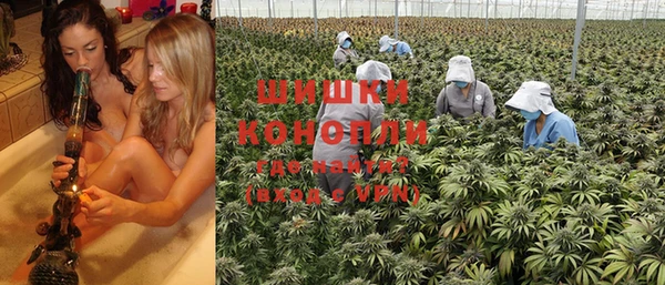 не бодяженный Заводоуковск