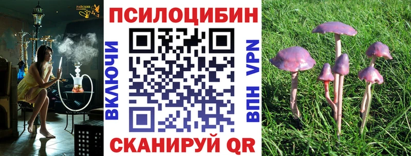 Галлюциногенные грибы Psilocybine cubensis  Купить закладки  Пушкино 